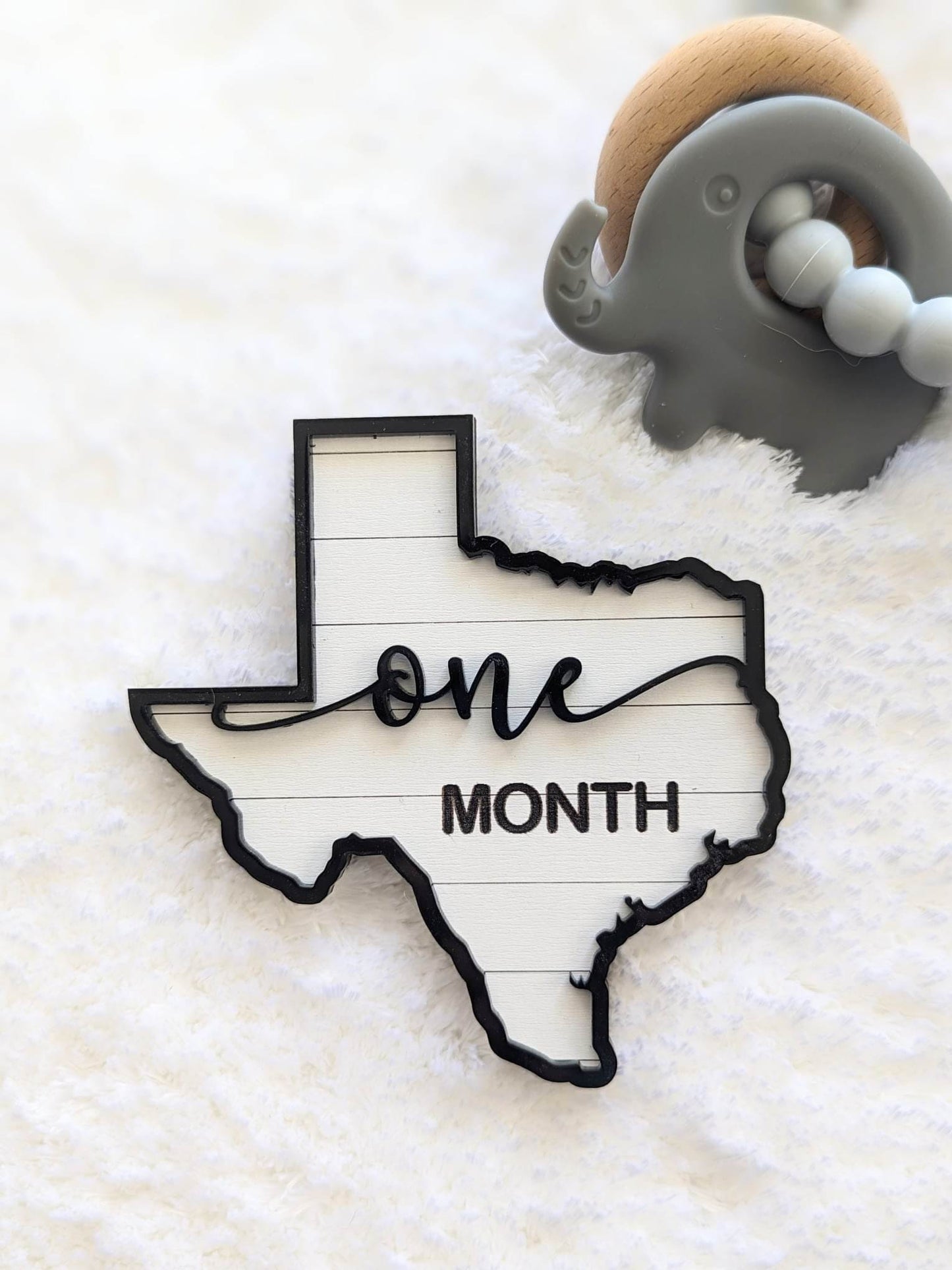 Adorable Texas Shaped Milestones Photo Props
