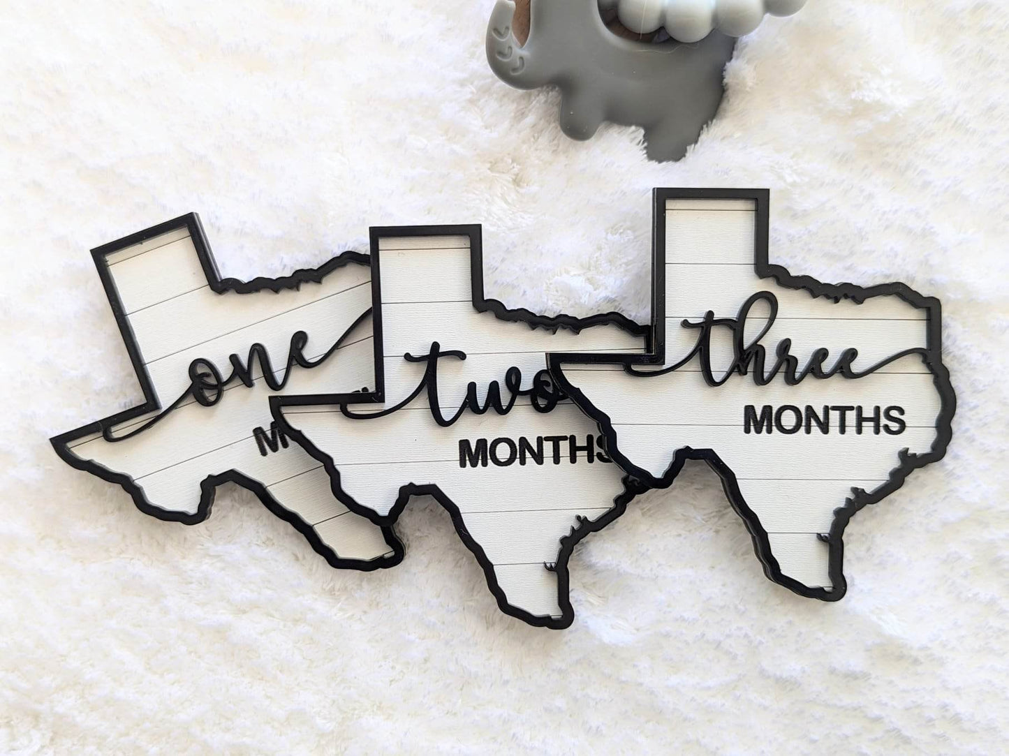 Adorable Texas Shaped Milestones Photo Props