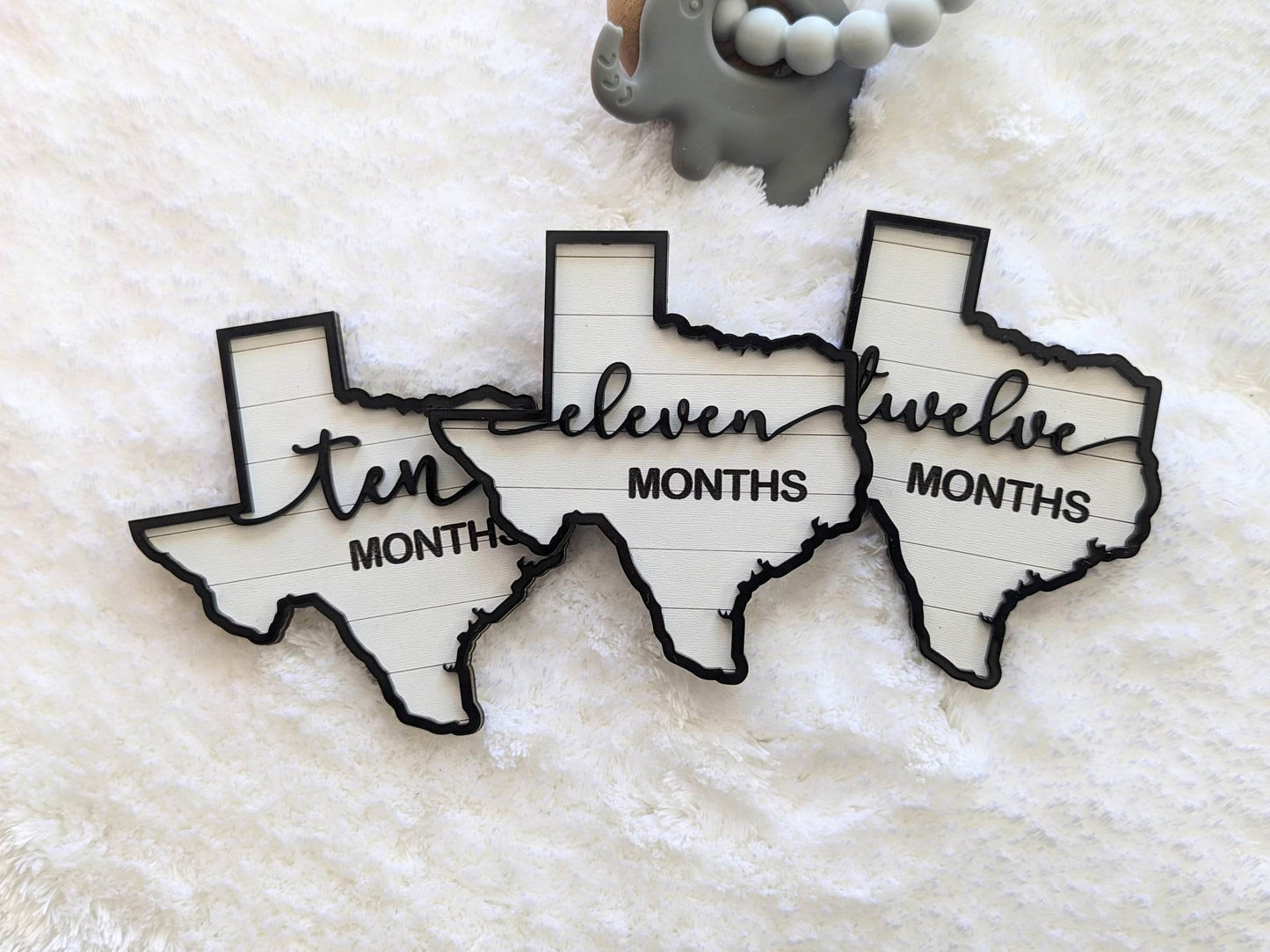 Adorable Texas Shaped Milestones Photo Props
