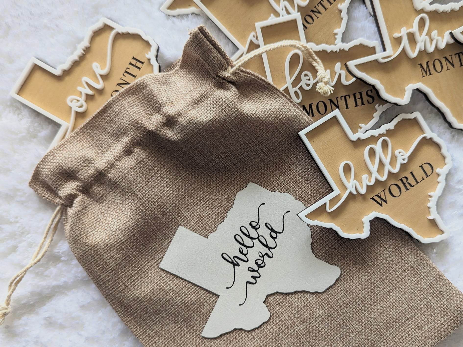 Texas shaped Hello World newborn picture prop